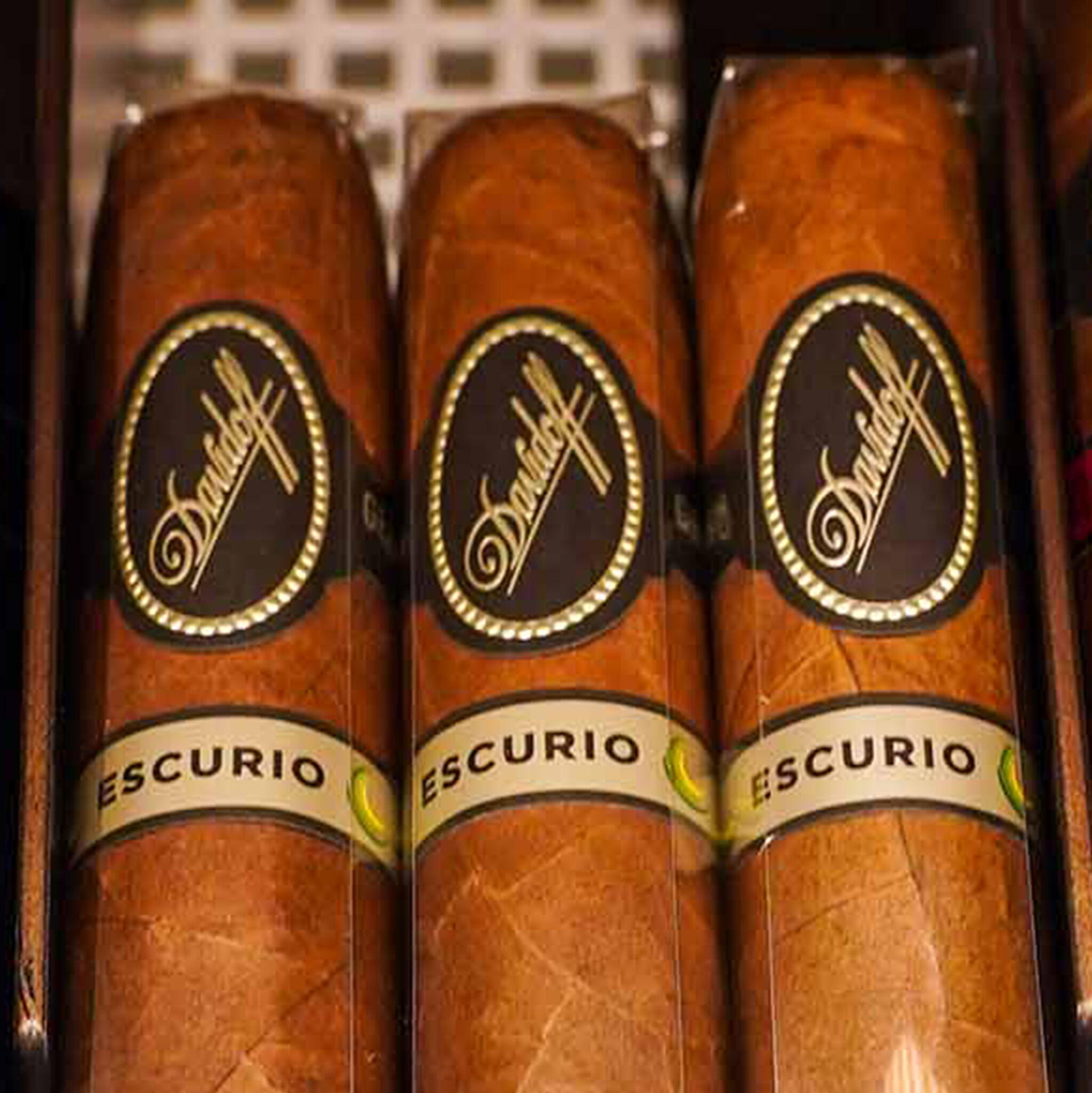 Robusto Cello, , jrcigars